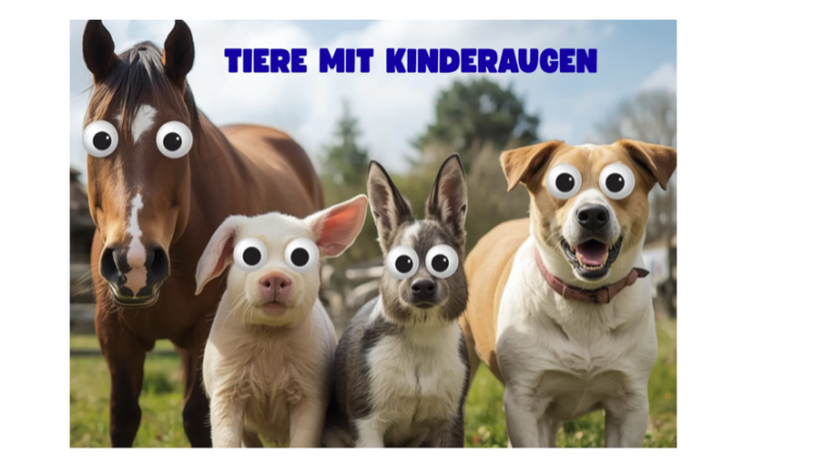 Bildschirmfoto 2026-06-01 um 13.20
